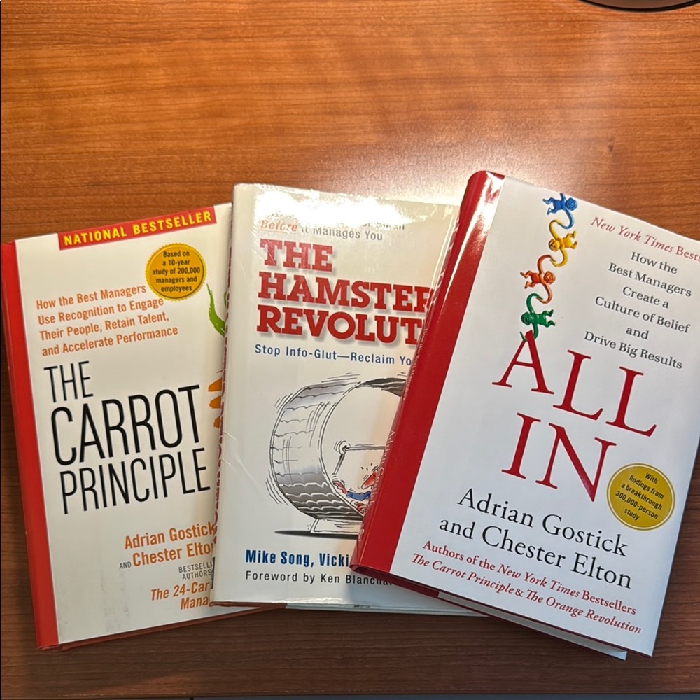 Set of Three Books For Motivation and Engagement |‎ Great Condition